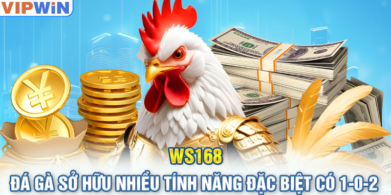 WS168 đá gà sở hữu nhiều tính năng đặc biệt có 1-0-2