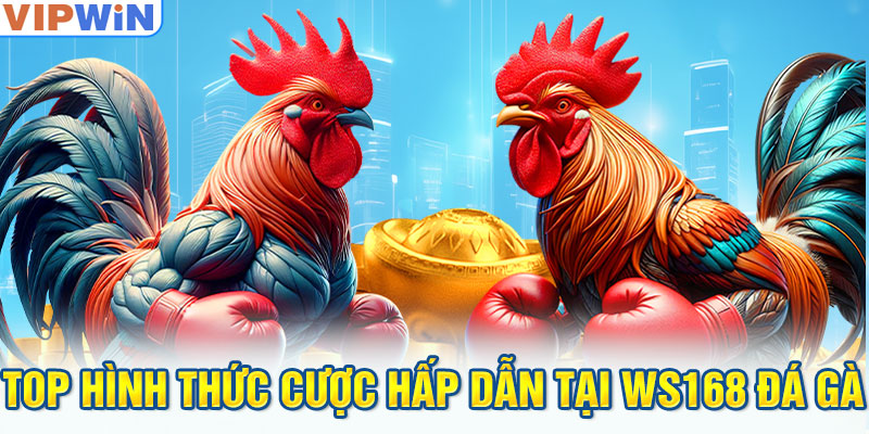 Top hình thức cược hấp dẫn tại WS168 đá gà